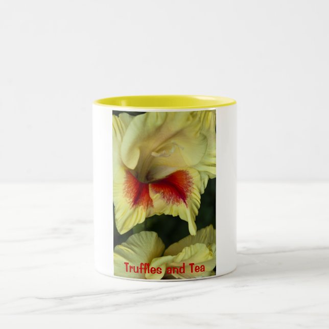 Bicolor Taza (Centro)
