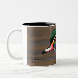Bicolor Taza
