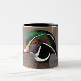 Bicolor Taza