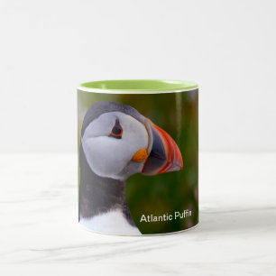 Bicolor Taza