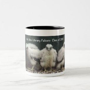 Bicolor Taza 2013 de Du Bois Falcons