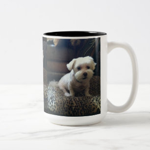 BICOLOR TAZA ADAPTABLE DE LA FOTO DEL MASCOTA CON LAS