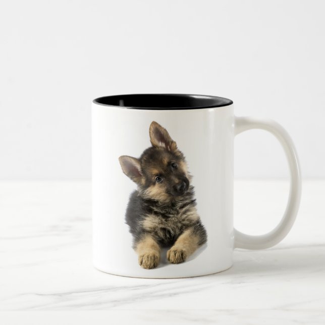 Bicolor Taza Alsatian (Derecha)