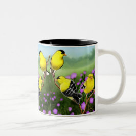 Bicolor Taza americana salvaje de los Goldfinches