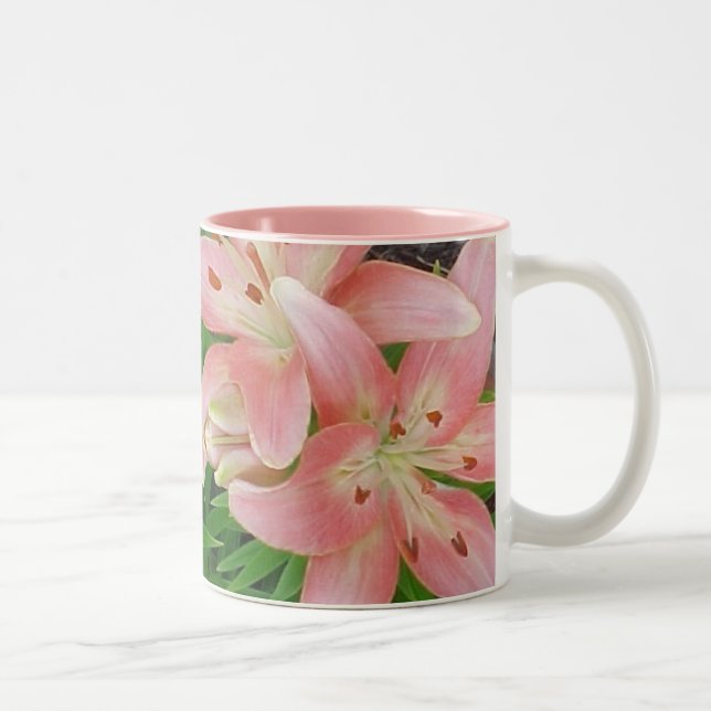 Bicolor Taza asiática rosada de los lirios (Derecha)