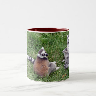 Bicolor Taza atada anillo de los lemurs