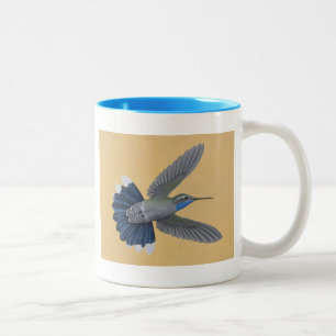 Bicolor taza Azul-throated del Dos-tono del colibrí