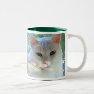 Bicolor Taza blanca del gato del pelo corto con verso