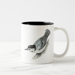Bicolor Taza blanca del trepatroncos de Breasted