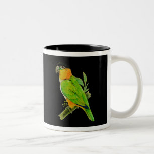 Bicolor Taza - caique de cabeza negra