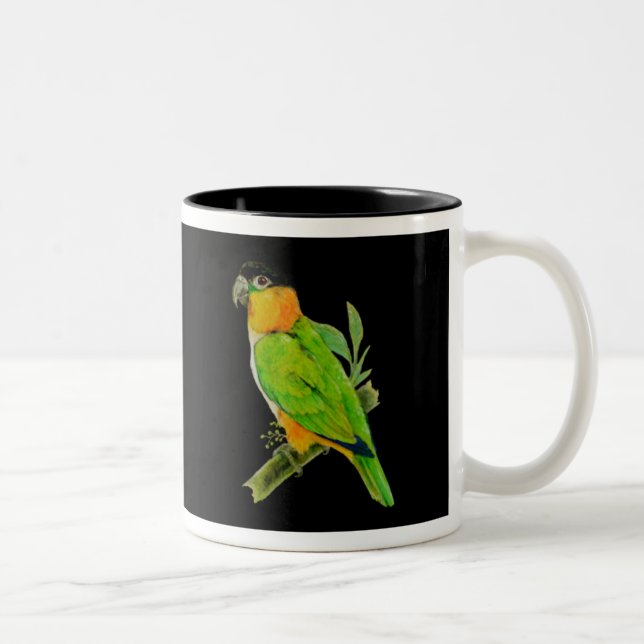 Bicolor Taza - caique de cabeza negra (Derecha)