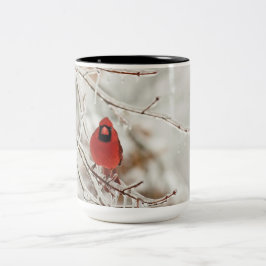 Bicolor Taza cardinal