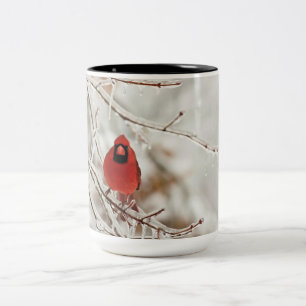 Bicolor Taza cardinal