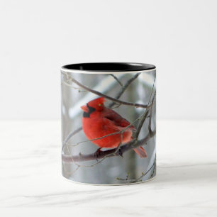 Bicolor Taza cardinal roja del invierno