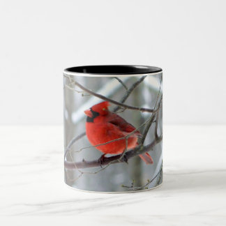 Bicolor Taza cardinal roja del invierno