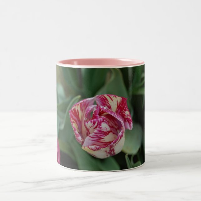 Bicolor Taza con un tulipán (Centro)