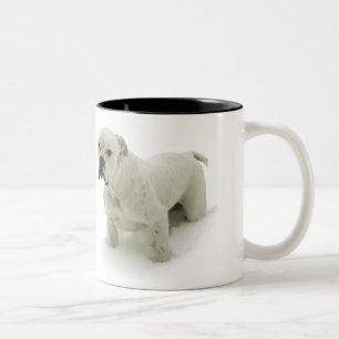 Bicolor Taza de Bull de la nieve
