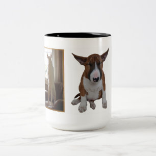 Bicolor Taza de bull terrier del inglés