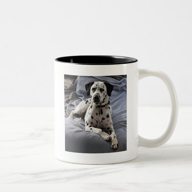 Bicolor Taza de café (Derecha)