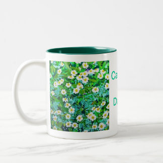 Bicolor Taza de café