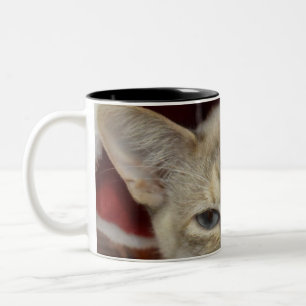 Bicolor Taza de café con gato blanco en sombrero rojo de N