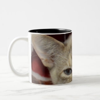 Bicolor Taza de café con gato blanco en sombrero rojo de N