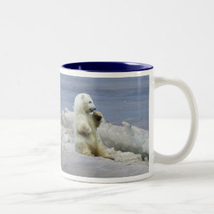 Bicolor Taza de café con oso polar adorable y hielo ártico