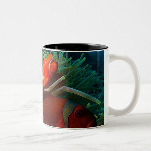 Bicolor Taza de café de Anemonefish
