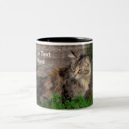 Bicolor Taza de café de gato atigrado asilvestrado