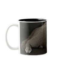 taza de café de gato plegado