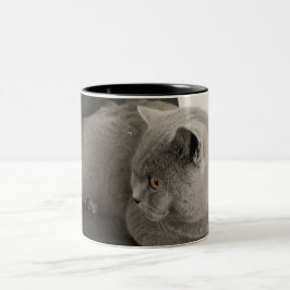 Bicolor taza de café de gato plegado