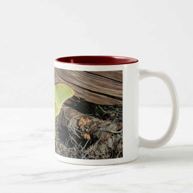 Bicolor Taza de café de la polilla de Luna (Derecha)