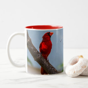 Bicolor Taza de café de un cardenal