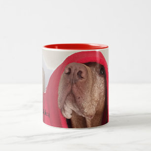 Bicolor Taza de café de Vizsla