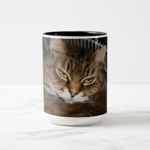 Bicolor Taza de café del gato
