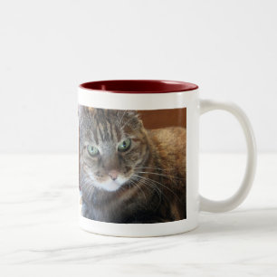 Bicolor Taza de café del gato