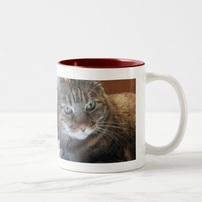 Bicolor Taza de café del gato (Derecha)