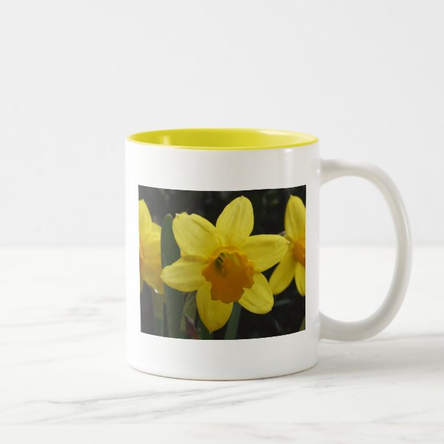 Bicolor Taza de café del narciso (Derecha)