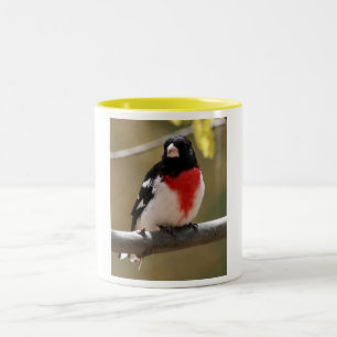 Bicolor Taza de café del pájaro
