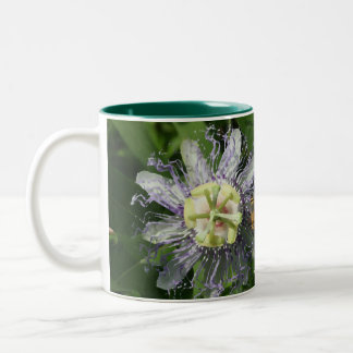 Bicolor Taza de café del Passionflower