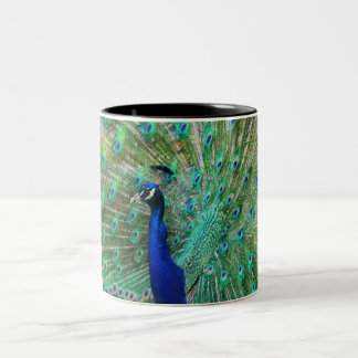Bicolor Taza de café del pavo real