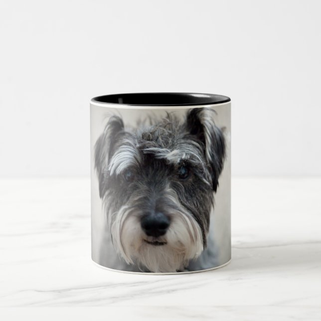 Bicolor Taza de café del perro del Schnauzer (Centro)