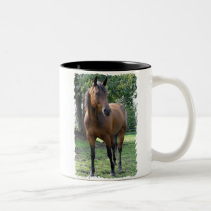 Bicolor Taza de café excelente del caballo de la bahía