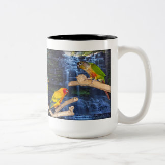 Bicolor Taza de café hermosa de Conure