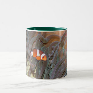 Bicolor Taza de café - modificada para requisitos