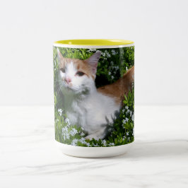 Bicolor Taza de café perfecta