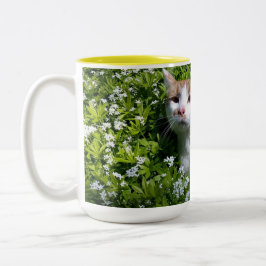 Bicolor Taza de café perfecta