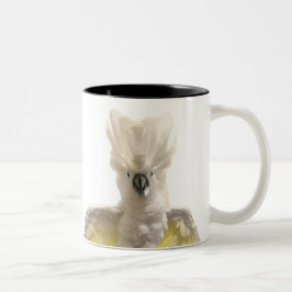 Bicolor Taza de Cecil