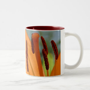 Bicolor taza de cerámica de dos tonos de lirio de día