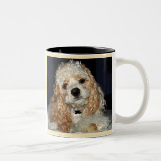 Bicolor Taza de cocker spaniel